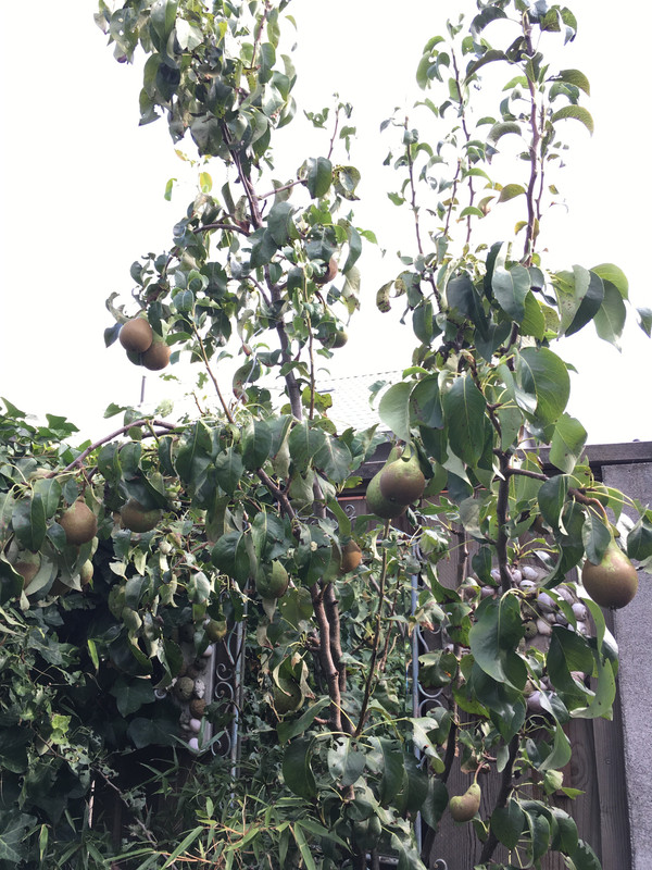 A7419956-2A3F-4751-93C3-A8072551032D