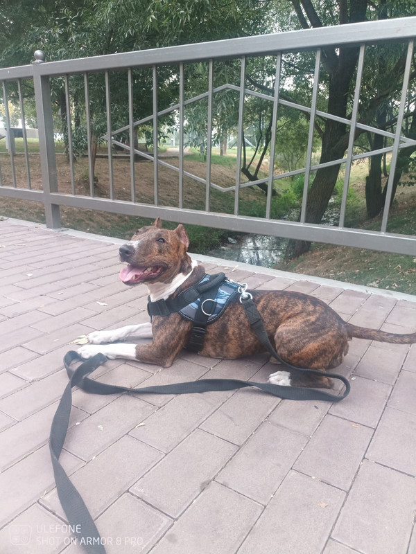 0B992EA4-882A-4BA8-A944-6D0E6CDAA56C