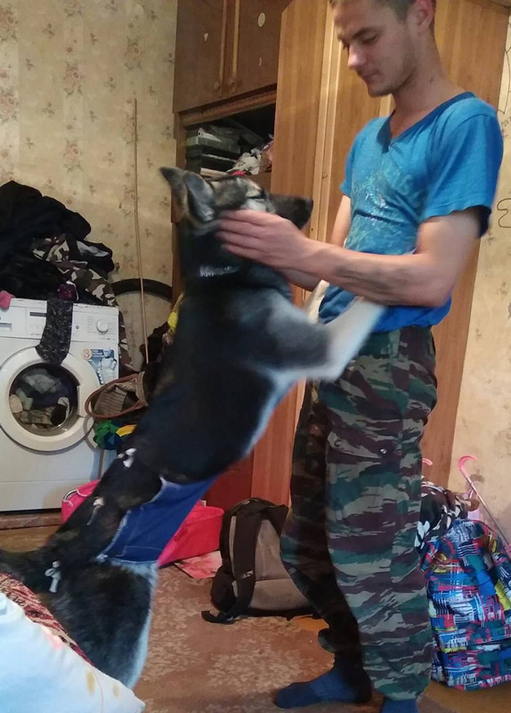 IMG-3d7370f0d0ddb3ec53488beab3f44e14-V