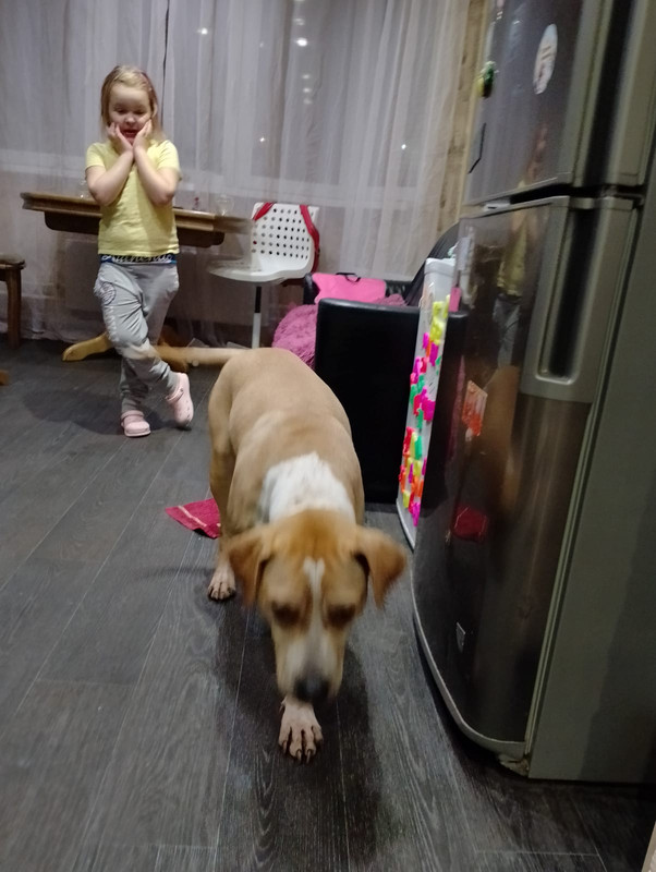 6A8362B0-FFE7-4194-8DB1-CC83AB35B6FD