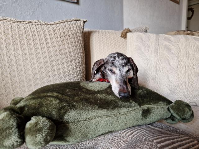 [Image: 20251204-114653.jpg]