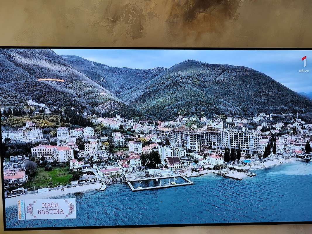 IMG_20250215_103152474