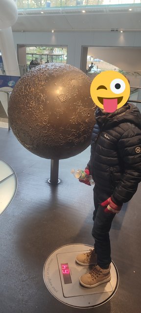 Vista icónica en Dumbo, bicis Central Park, Museo Historia y Little Italy - Nueva York y Cataratas del Niágara 2023 (38)