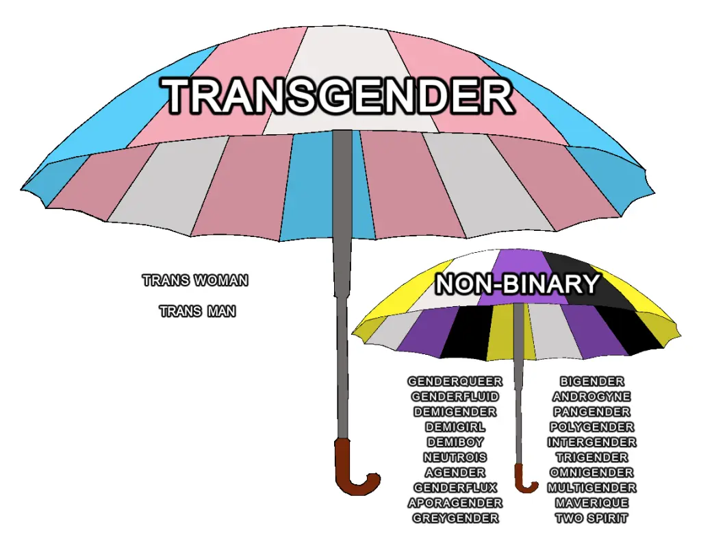 Trans enby umbrella postimages