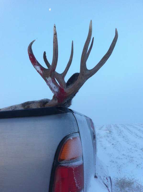 8E20BFE8-9F50-450F-836E-54F31F72D039