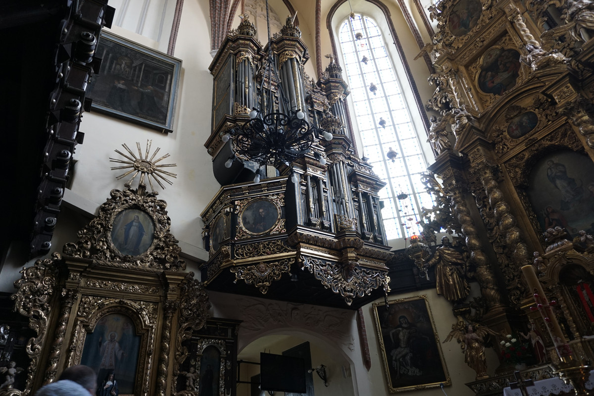 20.06 - DSC08019 (zbychowiec)