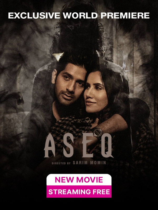 Aseq 2023 Hindi 1080p HDRip x264 AAC 5 1 ESubs 2 1GB QRips