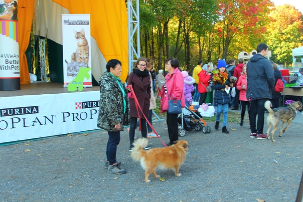 F661692A-47B2-4CA1-9DB1-3B8BA5C01590