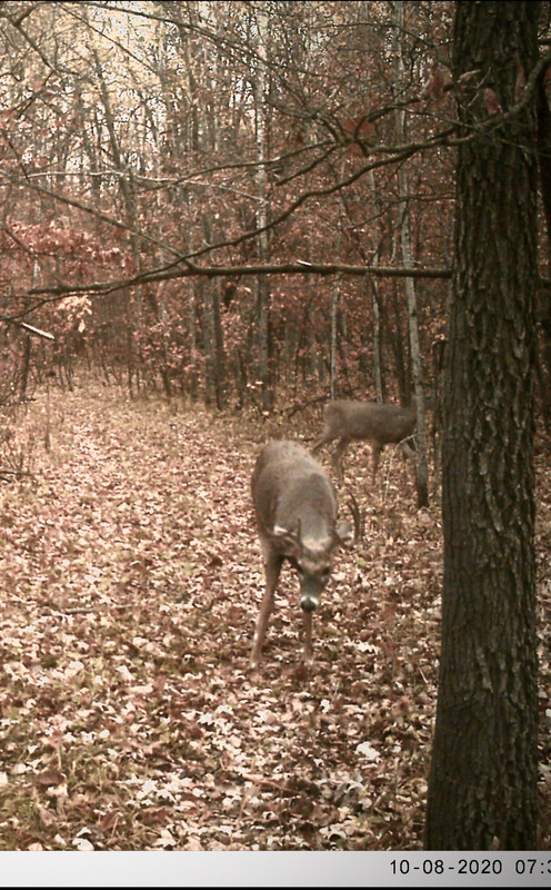 90A5BE17-DD3F-45B1-9D8A-0BCBCC0A7F79