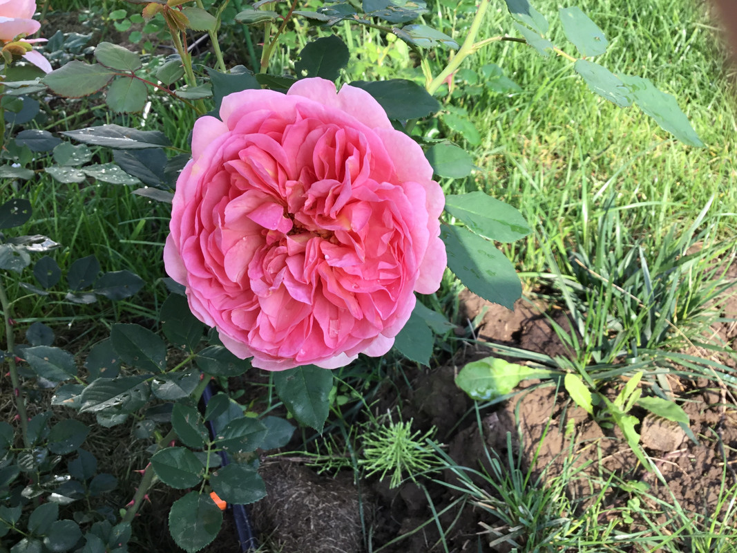 8D4B0779-53ED-4D05-A3E7-3689469C2021