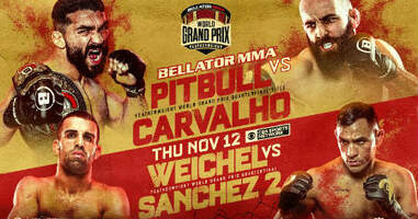 Bellator 252 