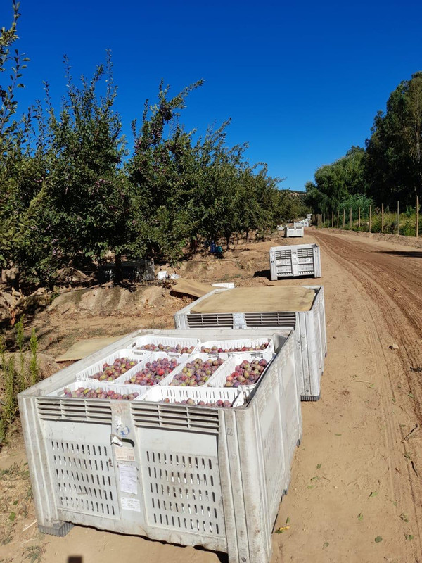 Equipo de A&A Servicios Integrales trabajando