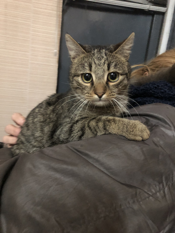 113C4FAE-008A-4099-81A3-65939D264A53