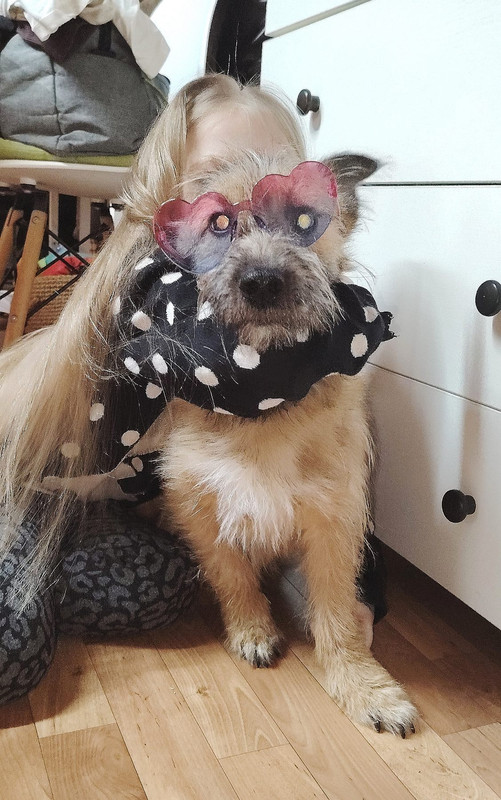 IMG 3fcba849081e6b65f037e3b1c8c7ddbf V