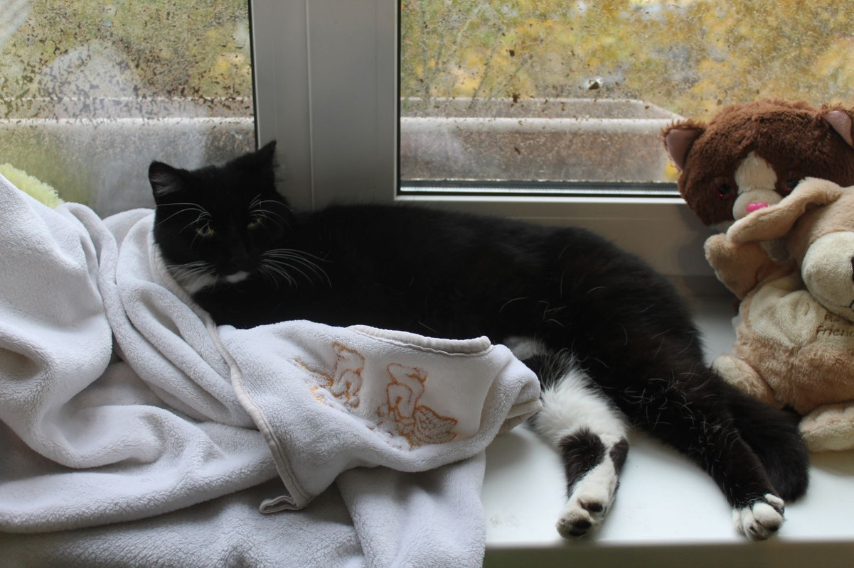 8A3D755C-2A12-462C-A4AE-D940745499BD