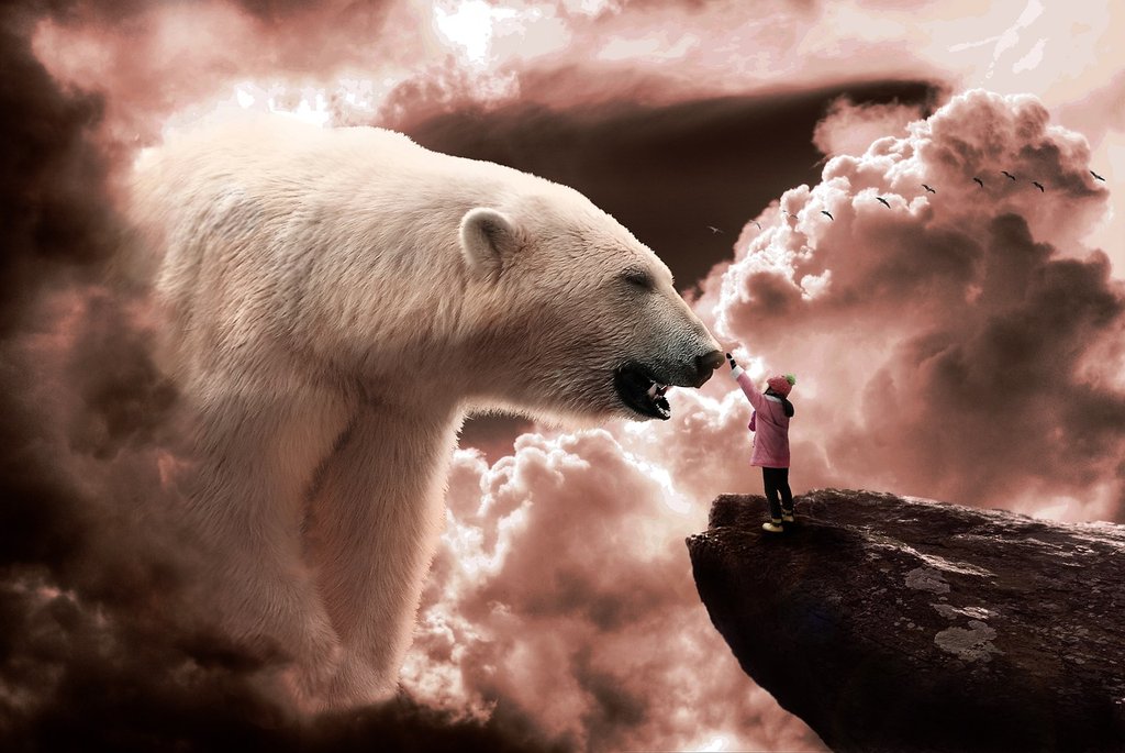white-bear-4931901-1280.jpg