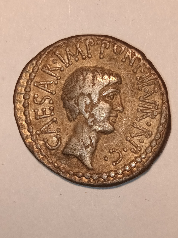 Denario gens Antonia. CAESAR. IMP. PONT. III. VIR. R. P. C. Busto desnudo de Octavio a dcha. Éfeso. 20230423-212548