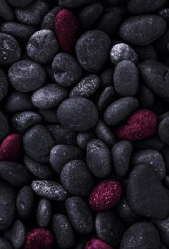 Screenshot_20230409_224744_Pinterest