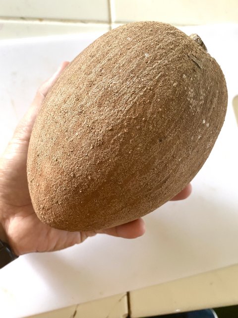 DE7BA2A6-7404-4242-BD05-BBFB3A4FBE55