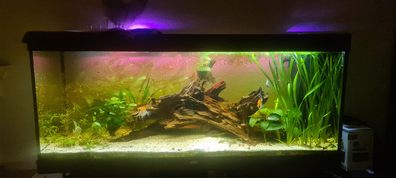 17064763061324975310947895557245