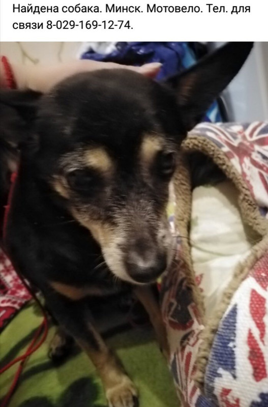 172C4FF6-44F7-4FE9-850E-40D5CAE95AA8