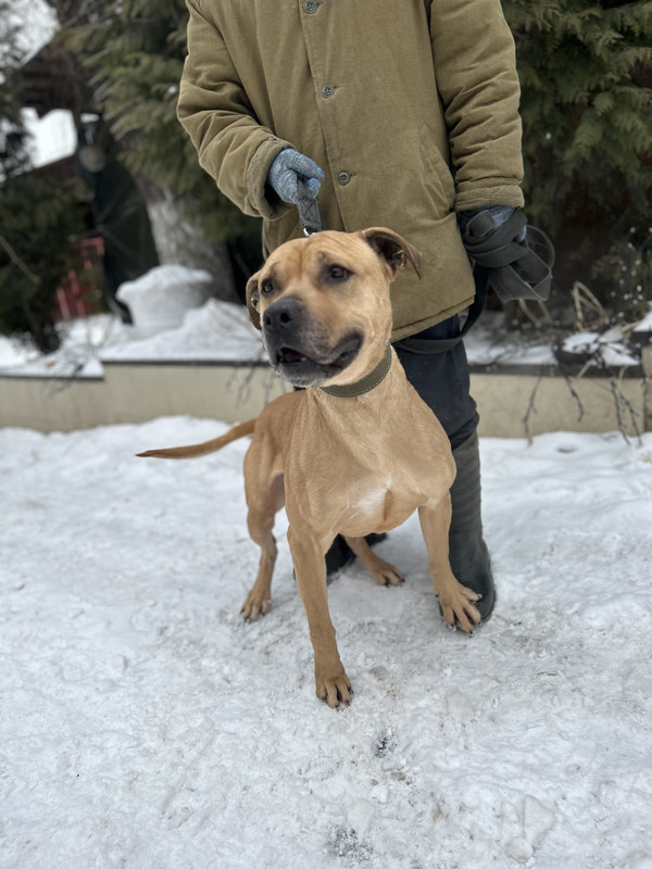 253546FD-90B6-42D0-A98D-07A4545F0873