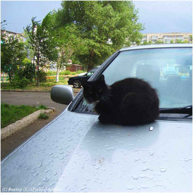 IMG-5194-2015