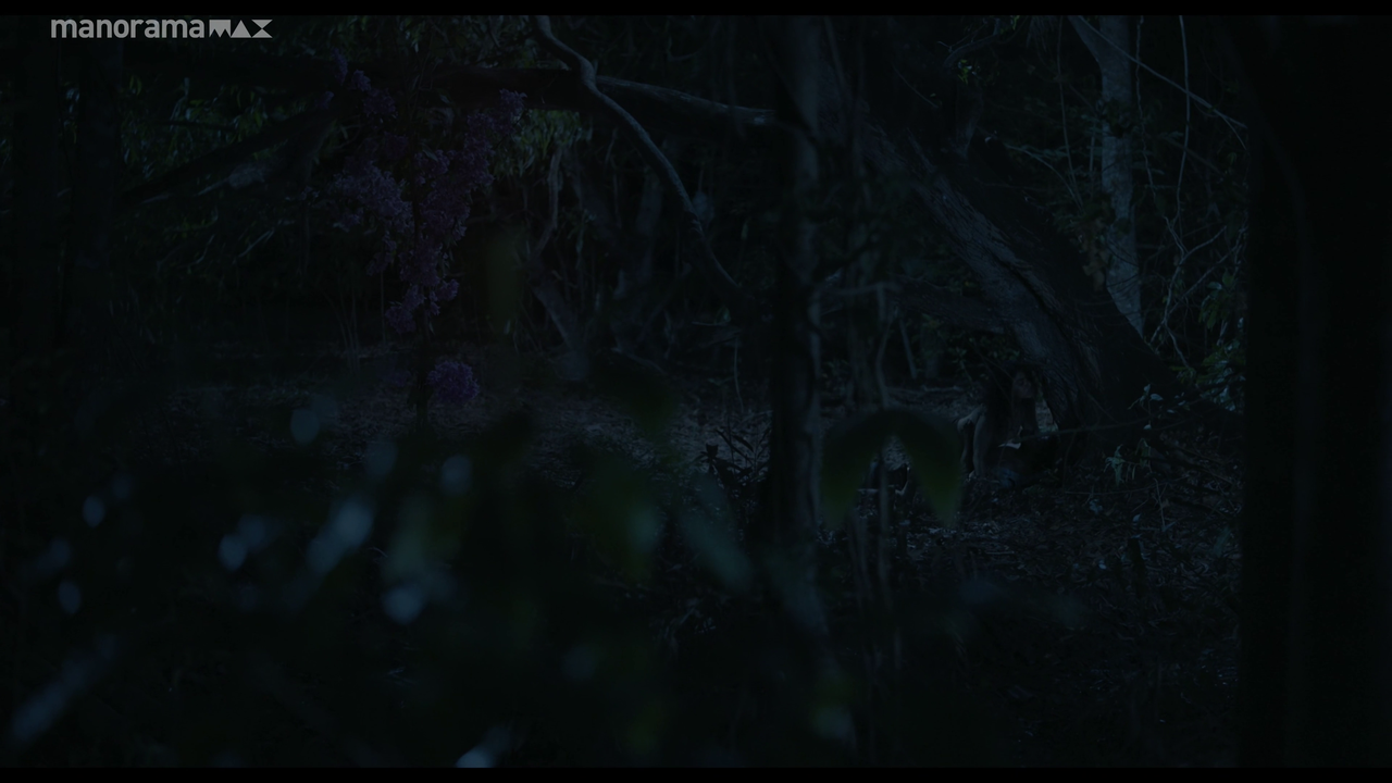 vlcsnap 2026 02 25 12h53m49s737