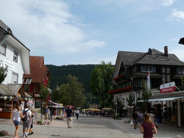 Día 9- Rodelbahn de Gutach, Triberg y Lago Titisee - ALSACIA, LAGO CONSTANZA Y SELVA NEGRA - Agosto 2017 (16)