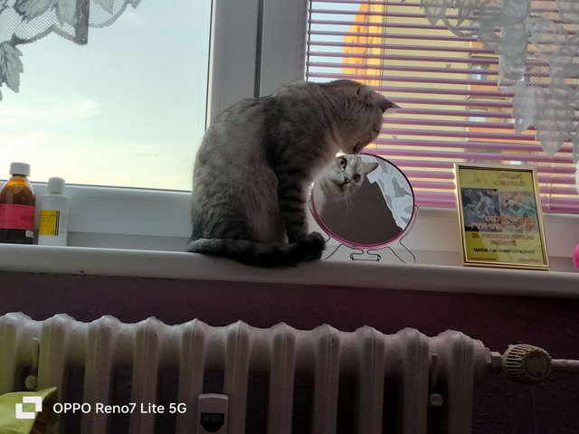 IMG20230812194728.jpg
