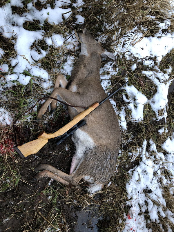 CDB15B7F-6A08-4460-BB5C-57DCFB3F8434