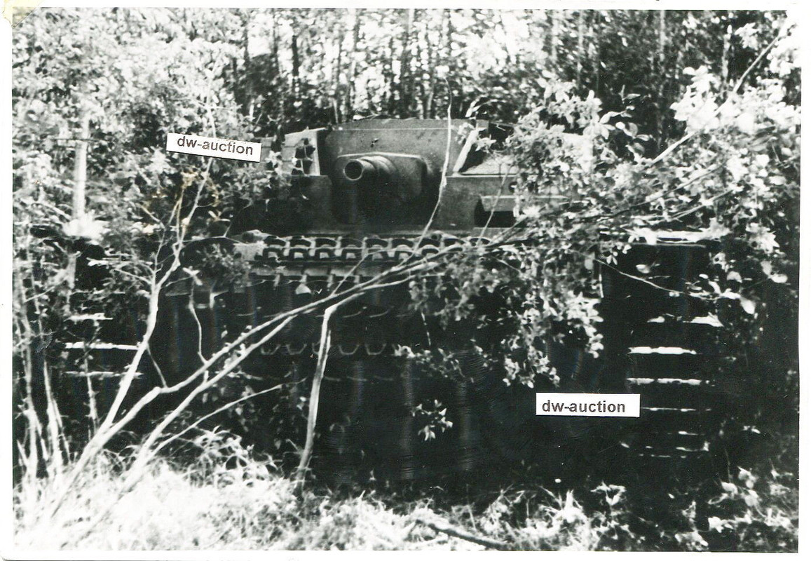 Sturmgeschütz getarnt