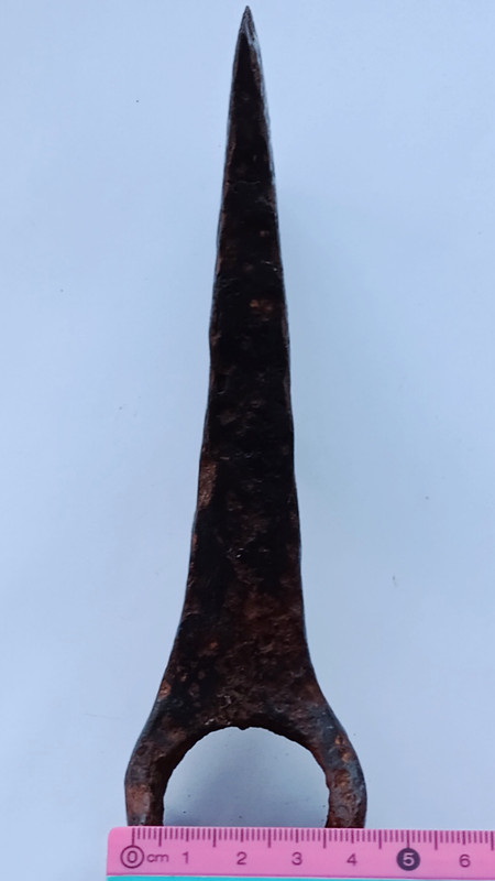 IMG 20260116 114929