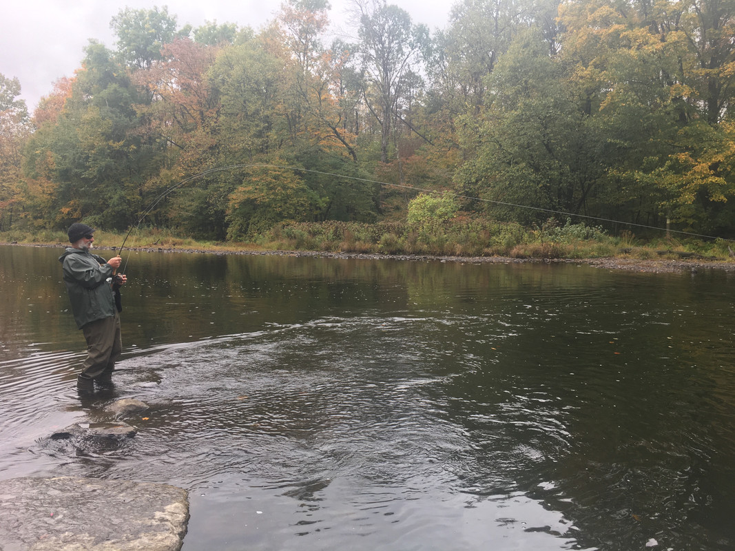 75F2174D-B905-4C3D-A341-7392AE658BA9