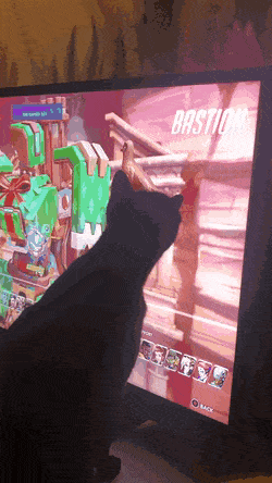 GIFs-20