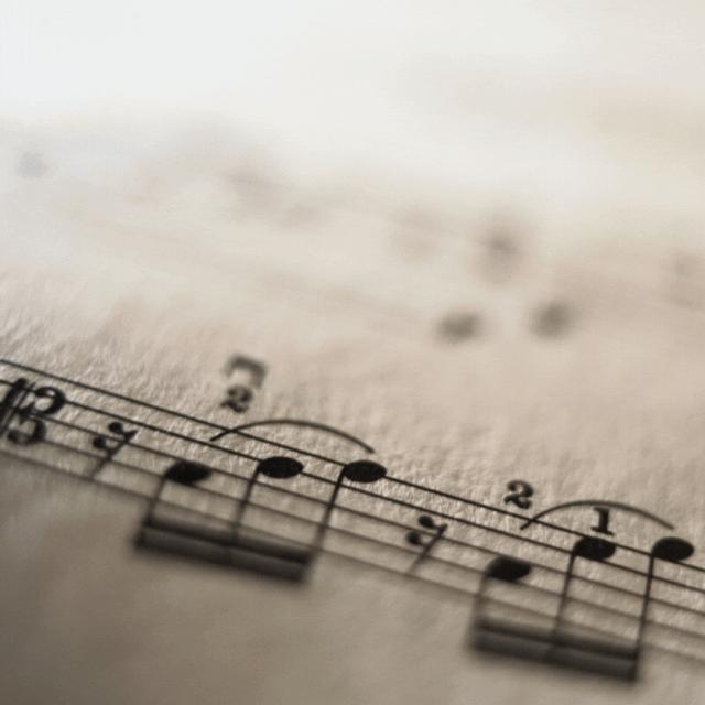 [Image: TCS-0017.gif]