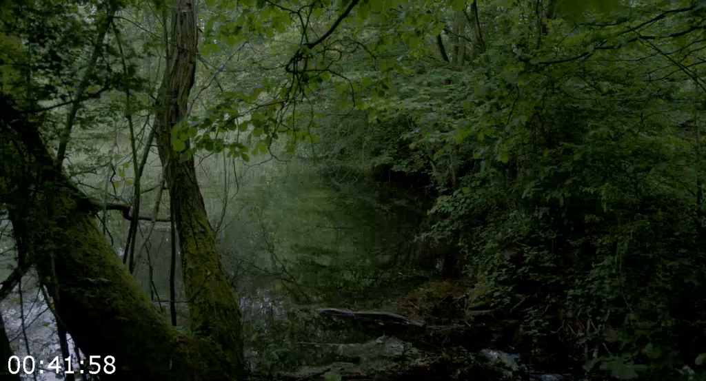 [Kép: Black-Goat-2025-720P-Amzn-Webdl-H-264.png]