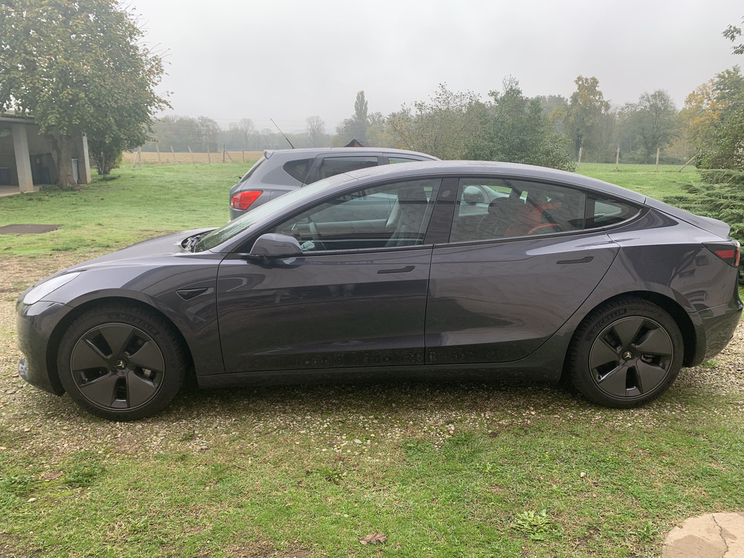 53C35714-5E7F-4A08-ACAE-02F78D43A548