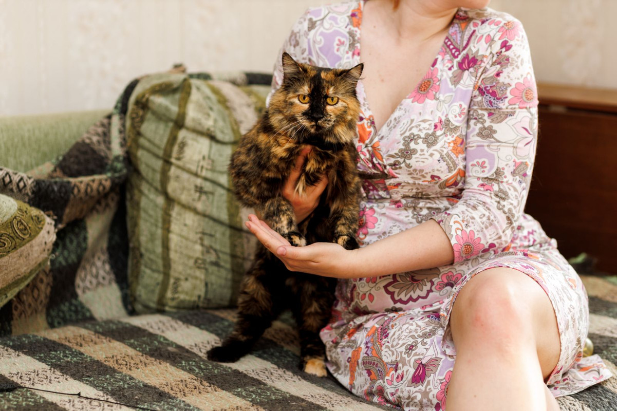 изображение_viber_2023-07-05_19-10-52-329