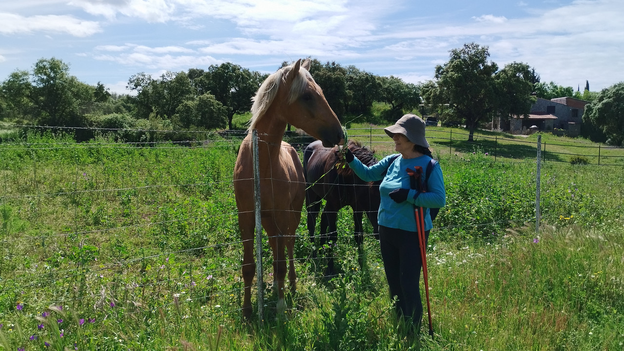14   10052025