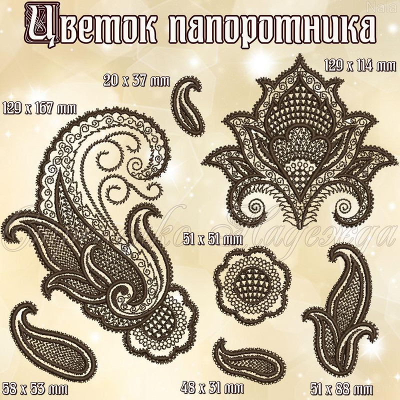 цветок папоротника