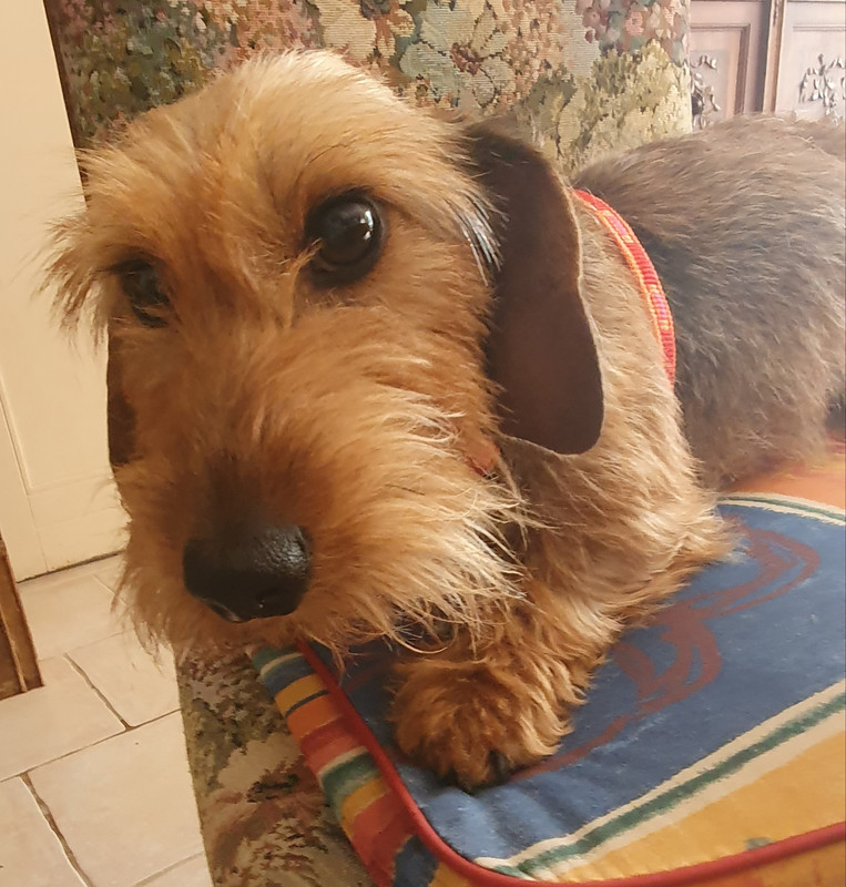 [Image: 20230719-100425.jpg]