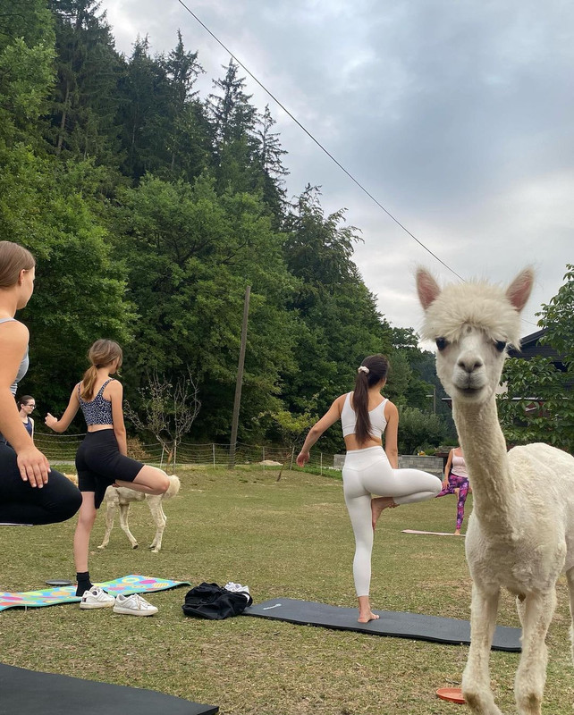 297807380_129761392886432_6476039324393316472_n