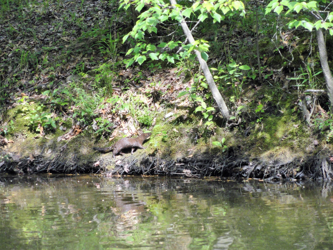 DSC06601-2.jpg