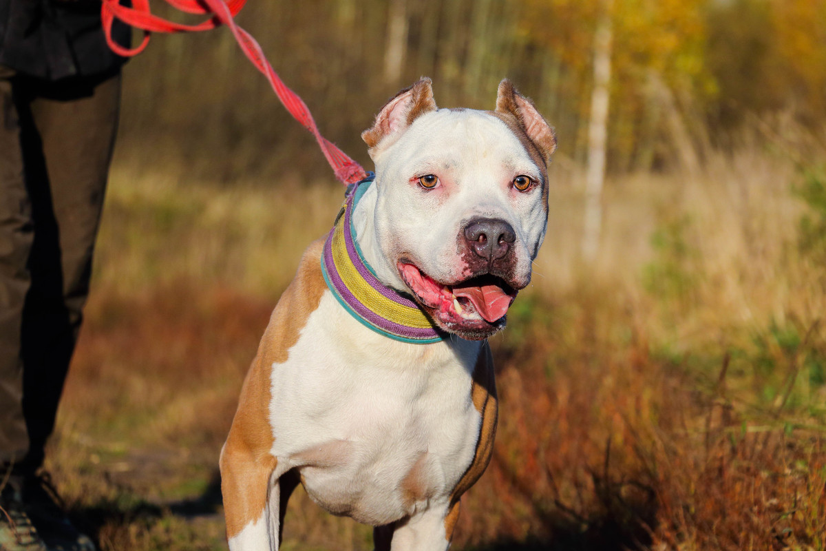 CB552879-DDA7-42E6-8E67-FF9D98873B0C