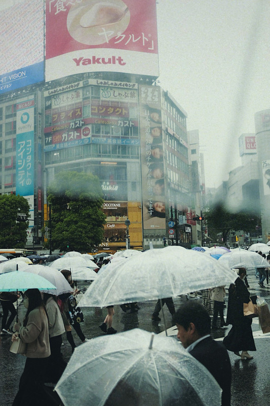 Daynote image