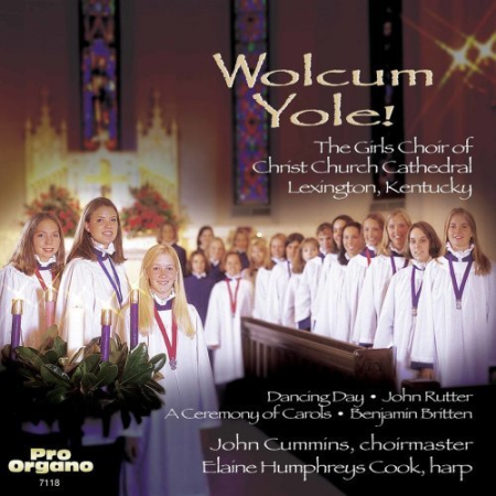 Various Artists - Wolcum Yole! (2000/2020)