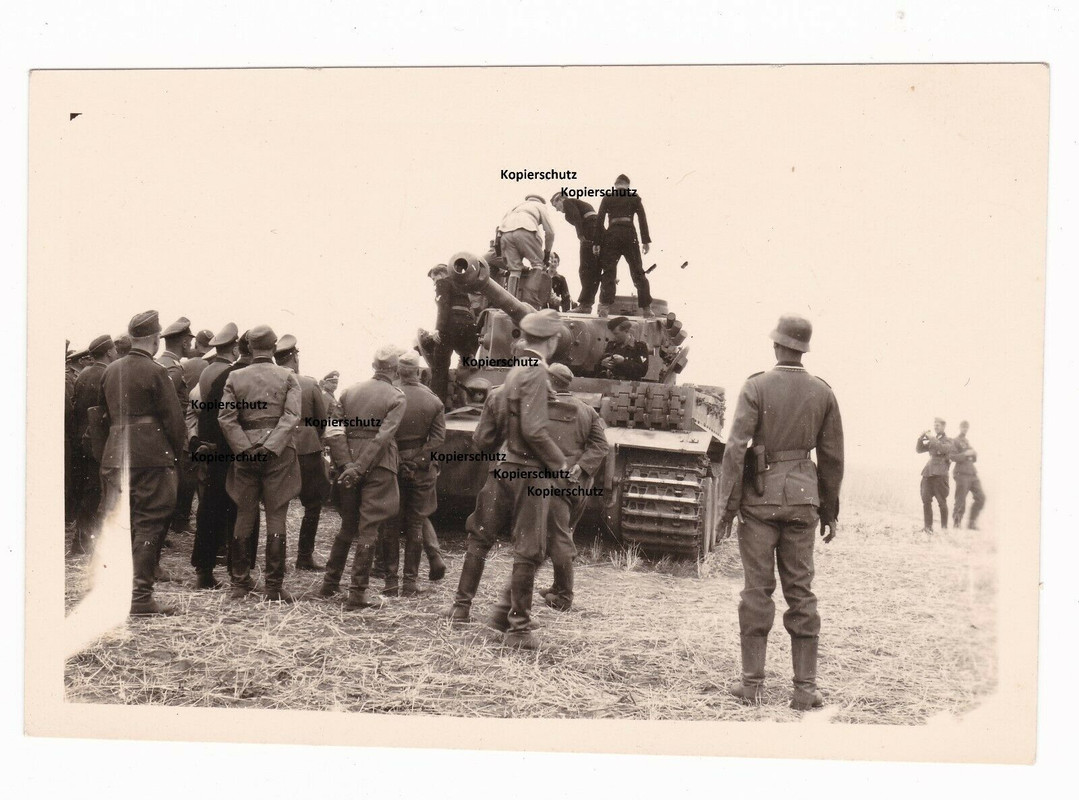 Original Foto Tiger Panzer mit Besatzung, vermutlich Ostfront, Rußland
