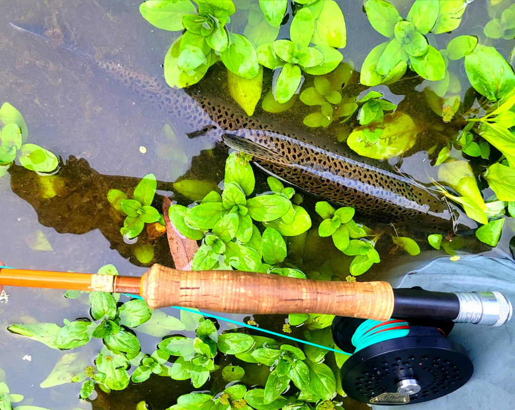 Resized_20231210_161913