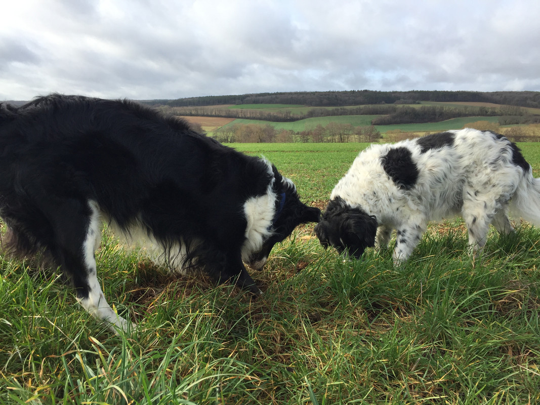 5661AC62-D6D2-4979-9B3C-69DAF8DD5842